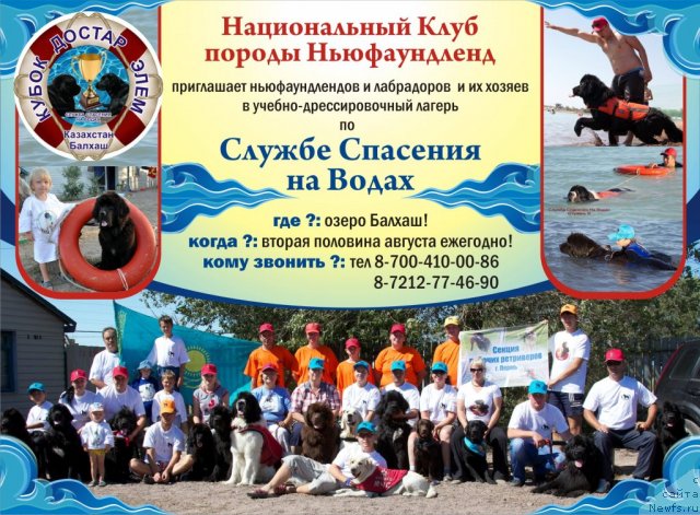 Фотография № 114565