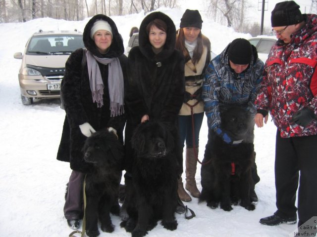 Фотография № 114572