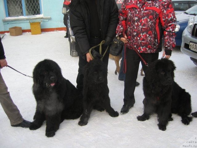 Фотография № 114573