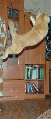 Фотография № 11458