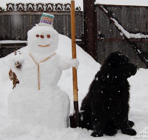 Фотография № 11459