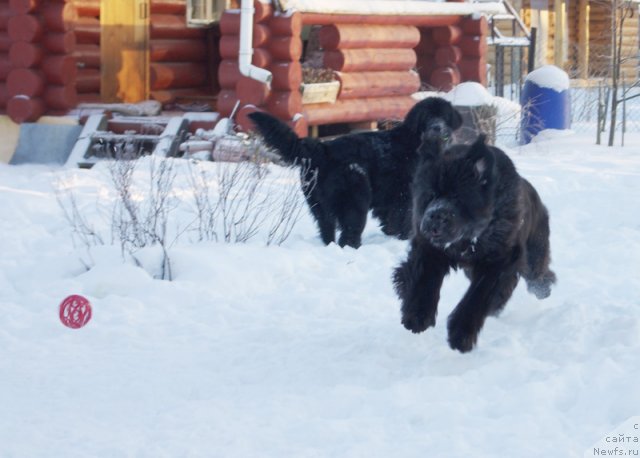 Фотография № 114632