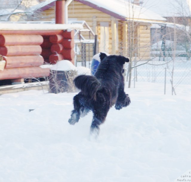 Фотография № 114633