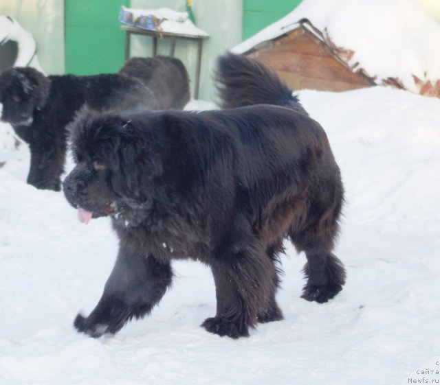 Фотография № 114649