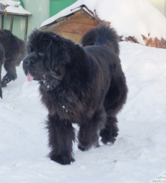 Фотография № 114650