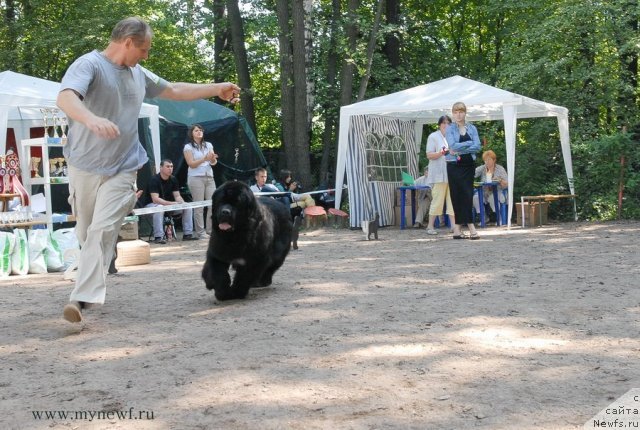 Фотография № 114671