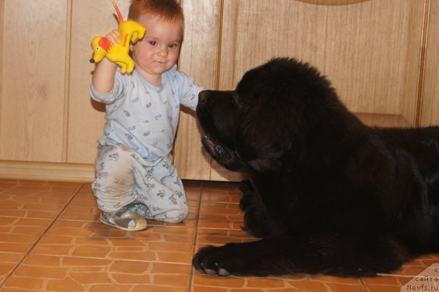 Фотография № 114674