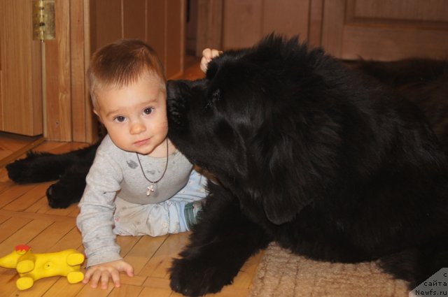 Фотография № 114678