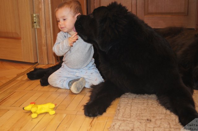 Фотография № 114679