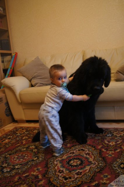 Фотография № 114681