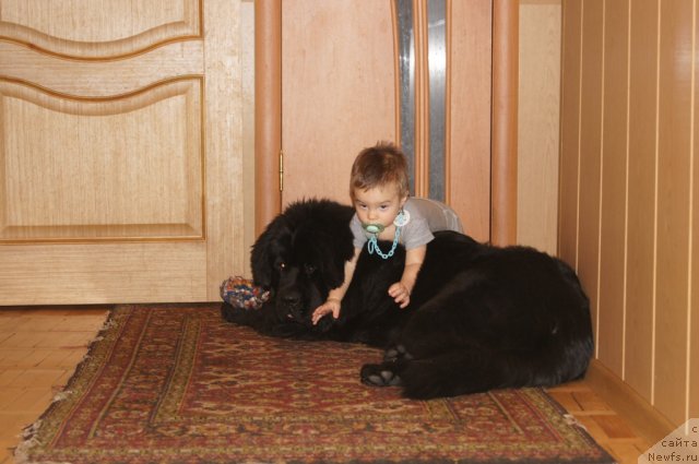 Фотография № 114683