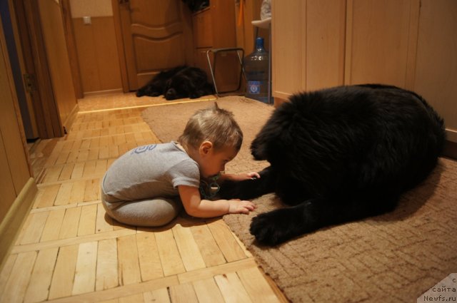 Фотография № 114686