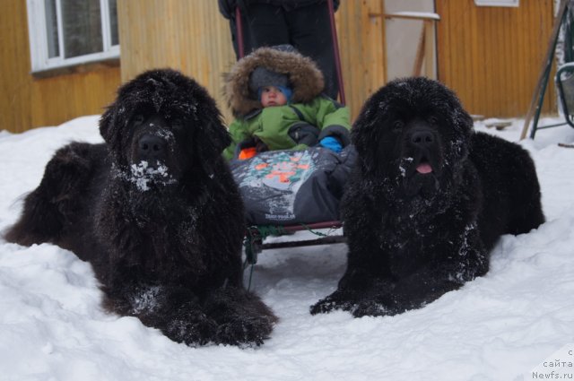 Фотография № 114688