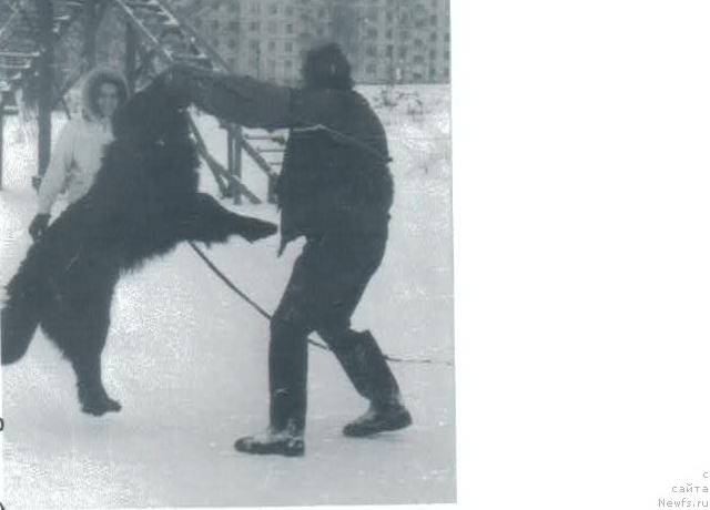 Фото: Берри Чан