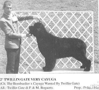 Фотография № 114728