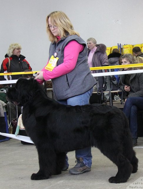 Фотография № 114753