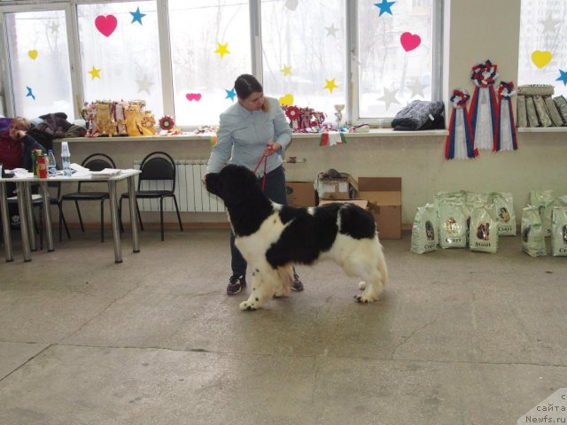 Фотография № 114761