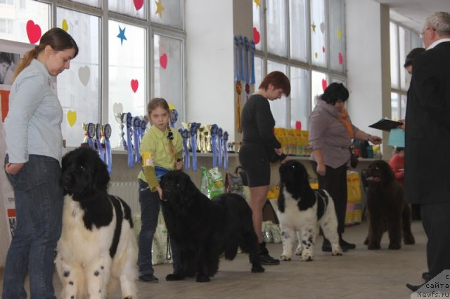 Фотография № 114763