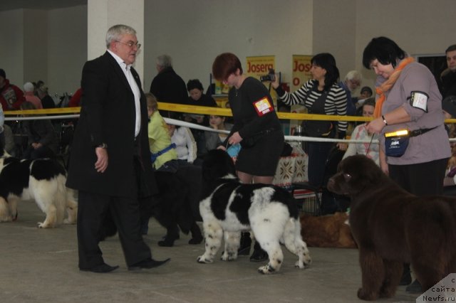 Фотография № 114764