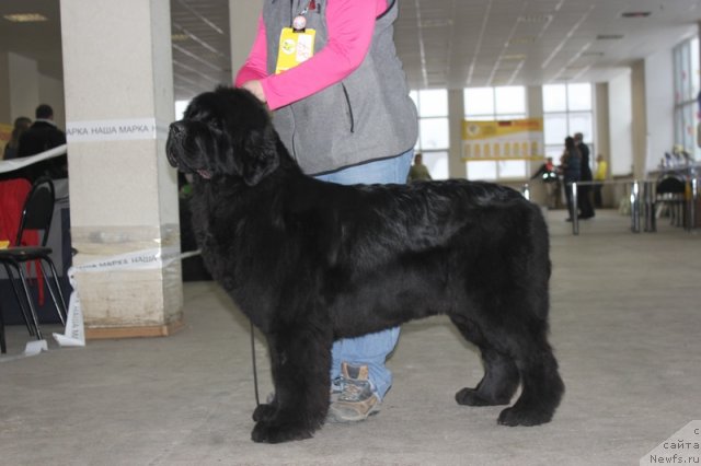 Фотография № 114765