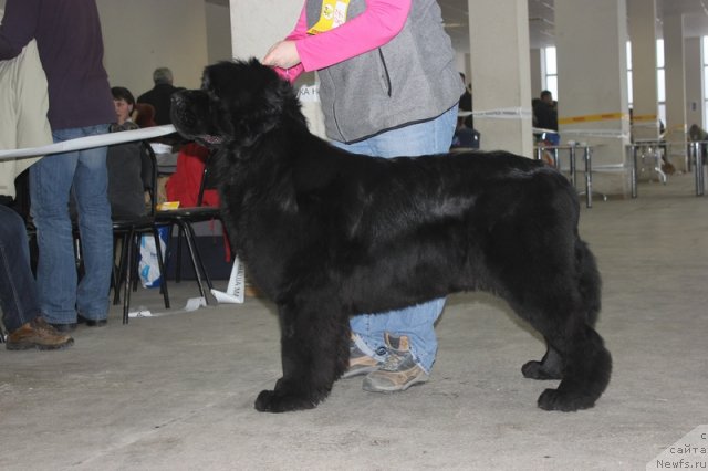 Фотография № 114766