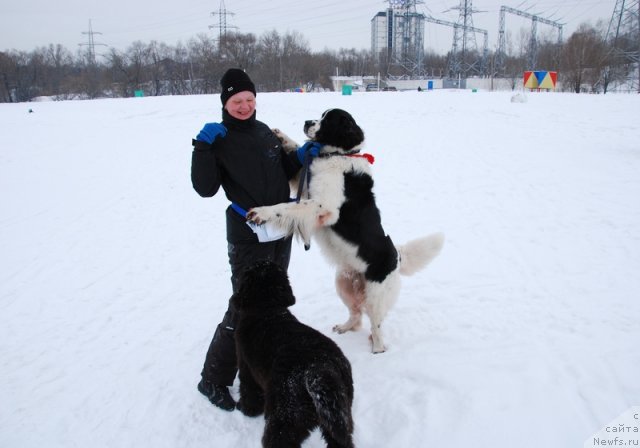 Фотография № 114772