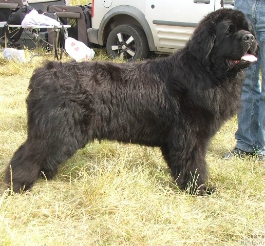 Фотография № 114775