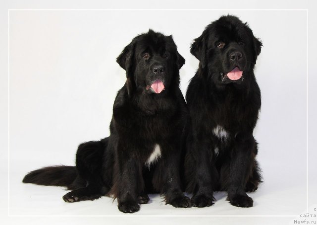 Фотография № 114858