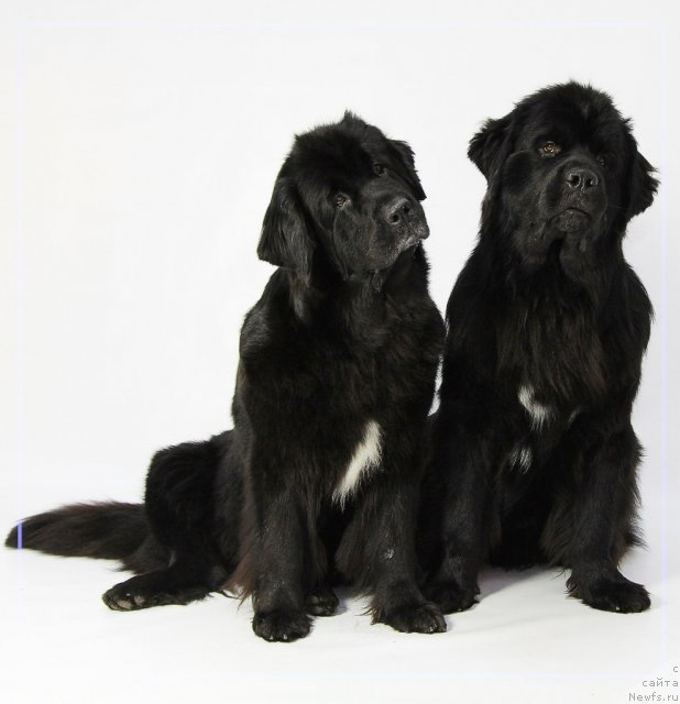 Фотография № 114859