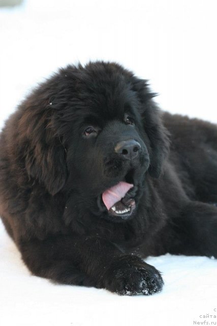 Фотография № 114964