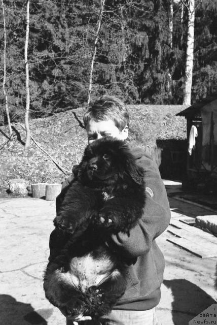 Фото: Юлия Митюхина