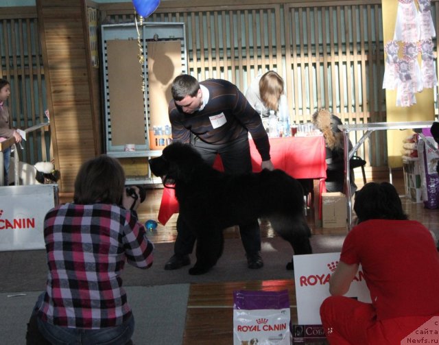 Фотография № 114985