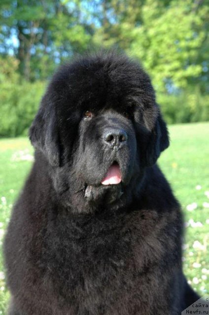 Фотография № 115009