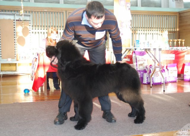 Фотография № 115026