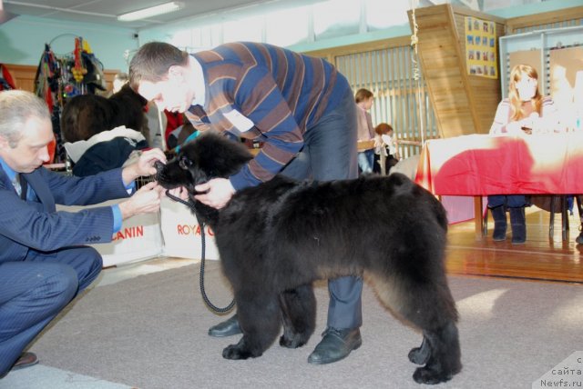 Фотография № 115027