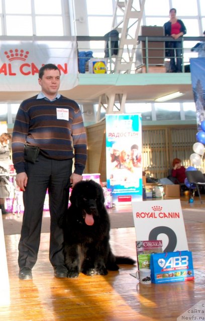 Фотография № 115028