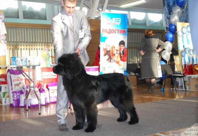 Фотография № 115029