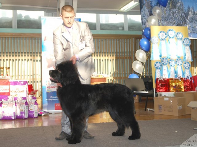 Фотография № 115030