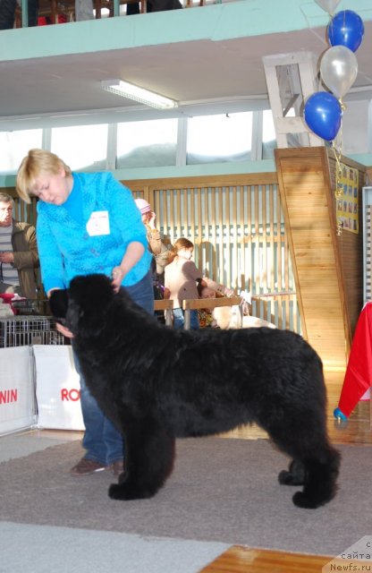 Фотография № 115034