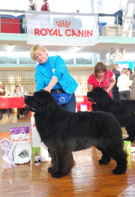 Фотография № 115036