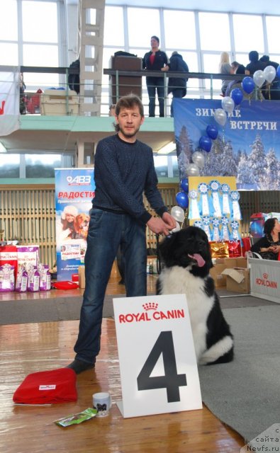 Фотография № 115040