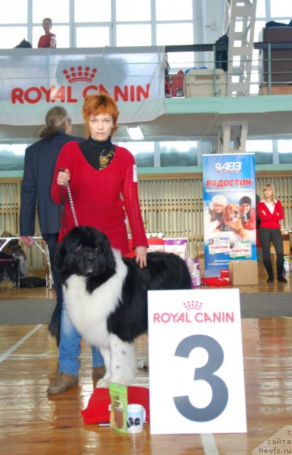 Фотография № 115041