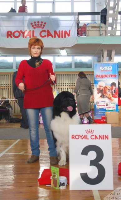 Фотография № 115042