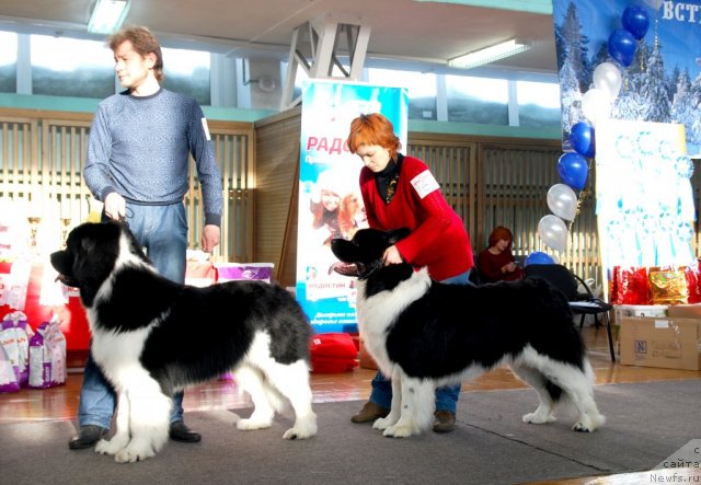 Фотография № 115043