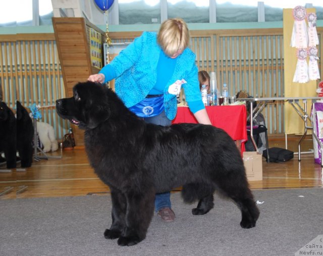 Фотография № 115045