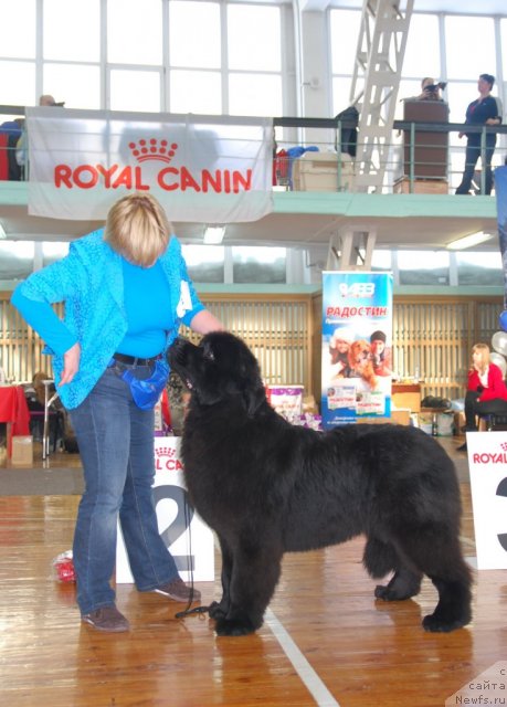 Фотография № 115046