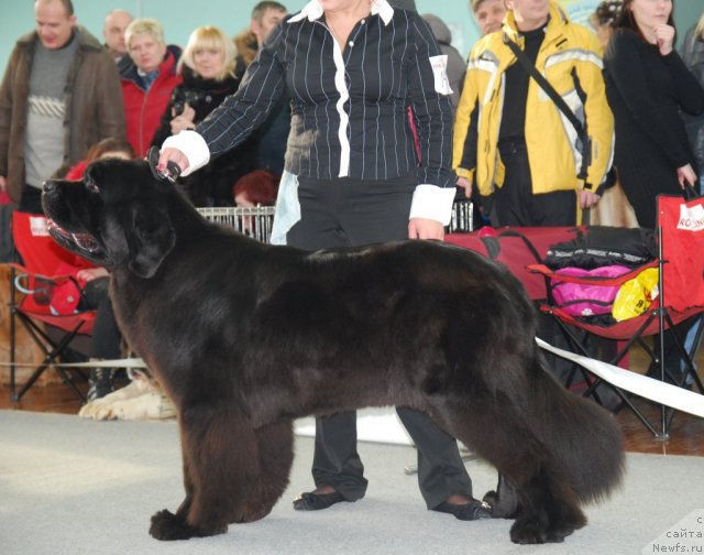 Фотография № 115048