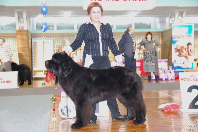 Фотография № 115051