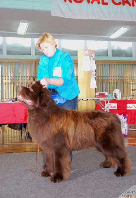 Фотография № 115052