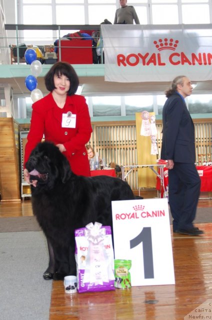 Фотография № 115057